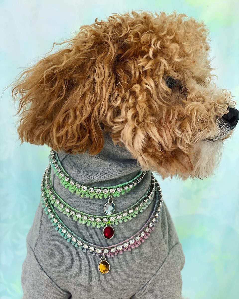 Pet Tennis Necklace | Dog Tennis Necklace | Doggy Glam Boutique
