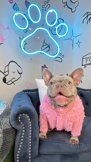 Dog Pink Dream Sweater | Pet Pink Sweater | Doggy Glam Boutique