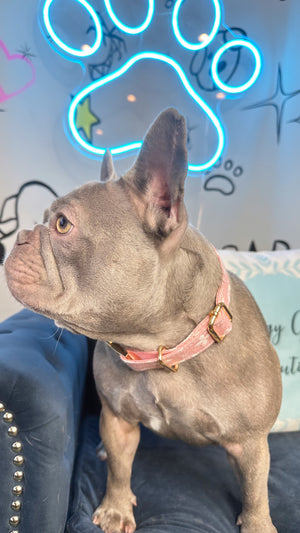 Dog Pink L Monogram Collar | Dog Pink Collor | Doggy Glam Boutique