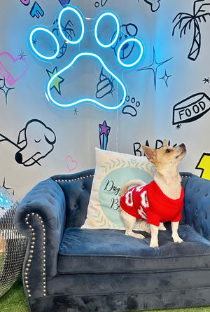 Dog Santa Baby Red Sweater | Pet Baby Red Sweater |Doggy Glam Boutique