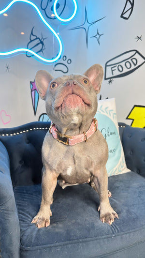Dog Pink L Monogram Collar | Dog Pink Collor | Doggy Glam Boutique