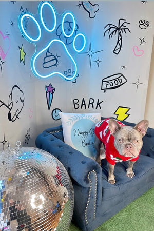 Dog Santa Baby Red Sweater | Pet Baby Red Sweater |Doggy Glam Boutique