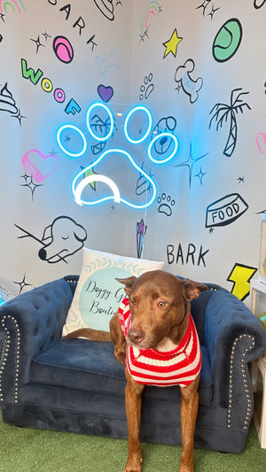 Striped Dog Sweater | Dog Red & White Sweater | Doggy Glam Boutique