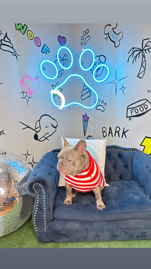 Striped Dog Sweater | Dog Red & White Sweater | Doggy Glam Boutique