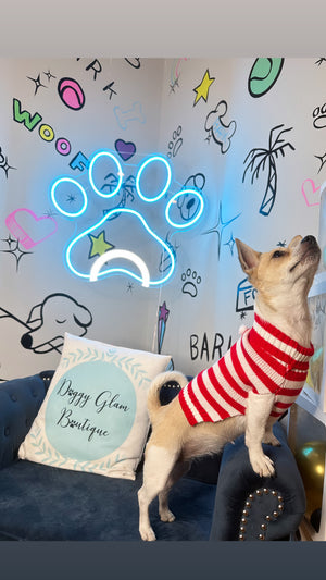 Striped Dog Sweater | Dog Red & White Sweater | Doggy Glam Boutique