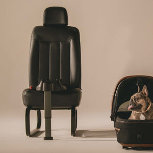 Pet Vehicle Base for Maeve | Pet Car for Maeve | Doggy Glam Boutique