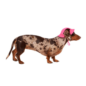 Neon Pink Cooling Dog Hat | Neon Pink Dog Hat | Doggy Glam Boutique