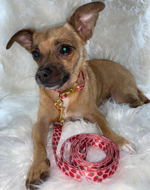 Strawberry Gold Leash Set | Pet Leash Set | Doggy Glam Boutique