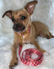 Load image into Gallery viewer, Strawberry Gold Set - Doggy Glam Boutique
