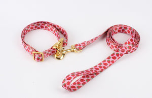 Strawberry Gold Leash Set | Pet Leash Set | Doggy Glam Boutique