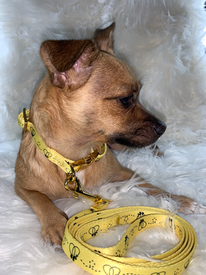 Yellow Bee Dog Collar Leash | Bee Dog Collar Set | Doggy Glam Boutique