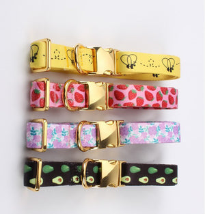 Avocado Dog Collar | Bee Print Pet Collar | Doggy Glam Boutique