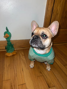 G Green Money Dog Sweater - Doggy Glam Boutique