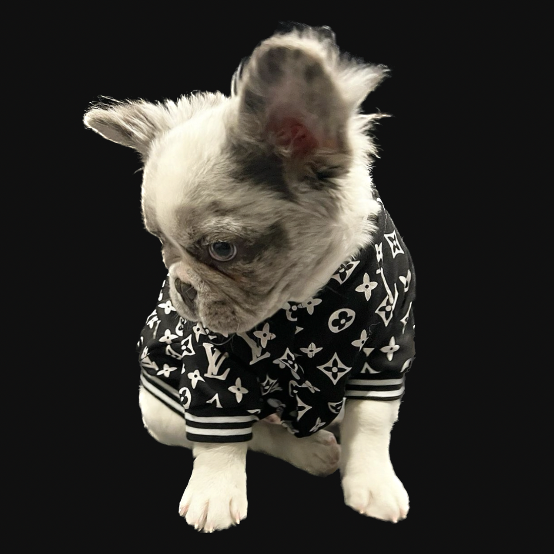 LV dog coat  Cute dog clothes, Puppy coats, Dog clothes