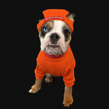 Load image into Gallery viewer, S Orange Sweater &amp; Hat Set - Doggy Glam Boutique
