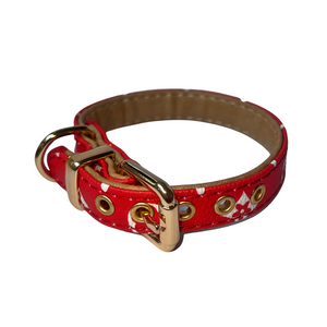 Inspired Collars - Doggy Glam Boutique