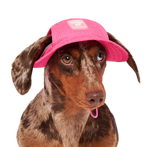 Chill Seeker Cooling Dog Hat (Neon Pink): M / Neon Pink