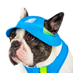 Chill Seeker Cooling Dog Hat (Blue): M / Blue