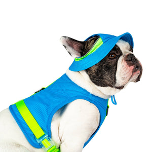 Chill Seeker Cooling Dog Hat (Blue): M / Blue