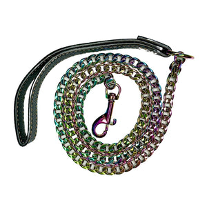 Iridescent Metal Leash