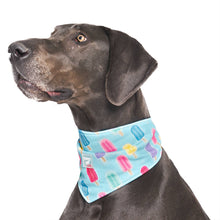 Load image into Gallery viewer, Chill Seeker Cooling Dog Bandana (Popsicles): M / Popsicles
