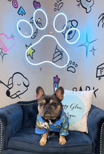 Load image into Gallery viewer, Dog Hawaiian Print Shirt | Dog Hawaiian Shirt | Doggy Glam Boutique
