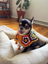 Load image into Gallery viewer, Orange Spice GRANNY CAPE - Doggy Glam Boutique
