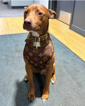 Load image into Gallery viewer, Brown Printed Dog Jacket | Brown Dog Jacket | Doggy Glam Boutique
