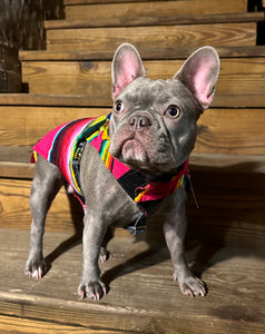 Multi-Color Dog Serape (Poncho) - Doggy Glam Boutique