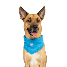 Load image into Gallery viewer, Blue Dog Bandana | Dog Cooling Bandana | Doggy Glam Boutique
