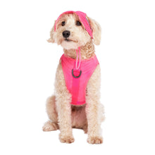 Load image into Gallery viewer, Chill Seeker Cooling Dog Hat (Neon Pink): M / Neon Pink
