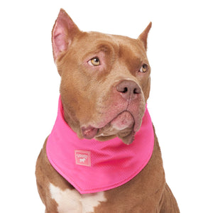 Chill Seeker Cooling Dog Bandana (Neon Pink): M / Neon Pink