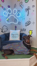 Load and play video in Gallery viewer, Reflective Dog Raincoat
