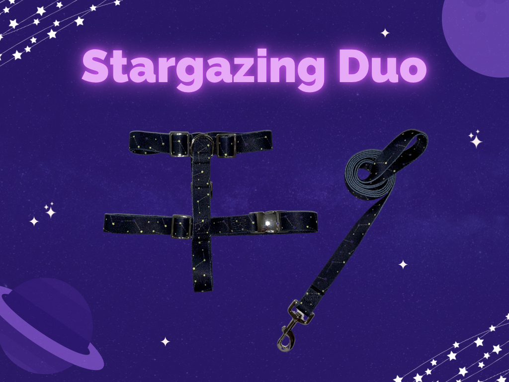Stargazing Duo - Doggy Glam Boutique
