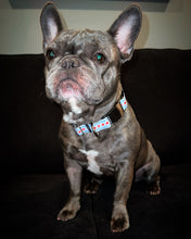 Load image into Gallery viewer, The Chi Collection Collars - Doggy Glam Boutique
