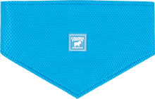 Load image into Gallery viewer, Chill Seeker Cooling Dog Bandana (Blue): L / Blue
