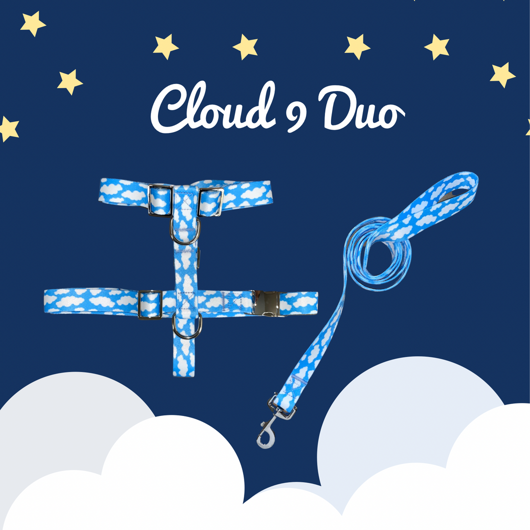 Cloud 9 Duo