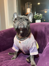 Load image into Gallery viewer, Pastel F Button Up - Doggy Glam Boutique
