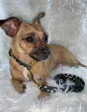 Load image into Gallery viewer, Avocado Gold Dog Collar and Leash - Doggy Glam Boutique
