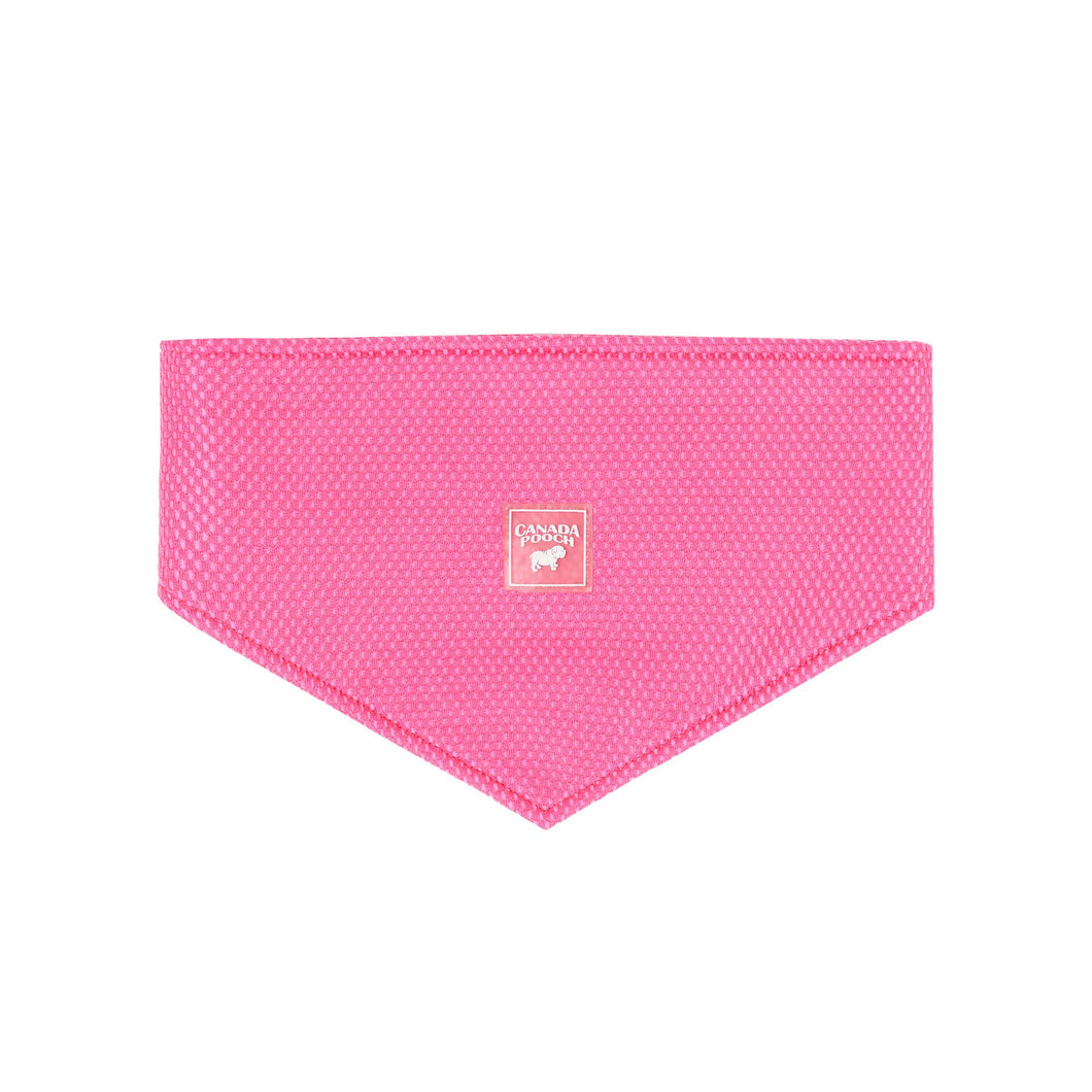 Chill Seeker Cooling Dog Bandana (Neon Pink): M / Neon Pink