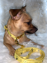 Load image into Gallery viewer, Yellow Bee Dog Collar and Leash Set - Doggy Glam Boutique
