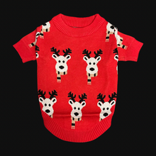 Load image into Gallery viewer, Reindeer Red Sweater - Doggy Glam Boutique
