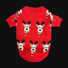 Load image into Gallery viewer, Reindeer Red Sweater

