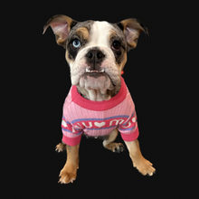 Load image into Gallery viewer, M Pink Dog Sweater - Doggy Glam Boutique
