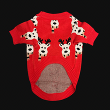 Load image into Gallery viewer, Reindeer Red Sweater
