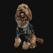 Load image into Gallery viewer, G Multicolor Dog Sweater - Doggy Glam Boutique
