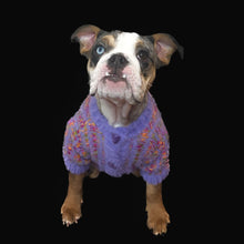 Load image into Gallery viewer, Purple Dream Sweater - Doggy Glam Boutique
